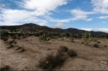 7130258949.jpeg