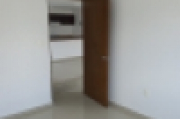 7197449924.jpeg