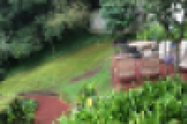 7231646967.png