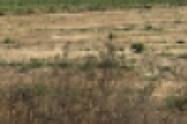 733360704.jpeg