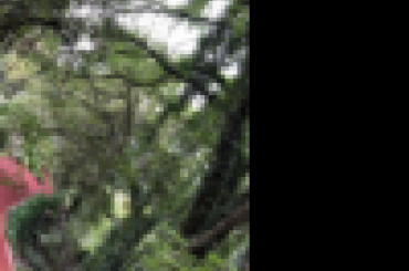 747961406.png