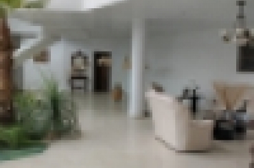 7483980413.jpg