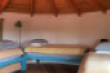 7508923313.png