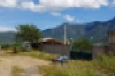 7651511151.jpeg
