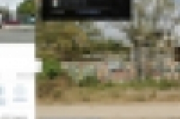 7805178356.jpeg