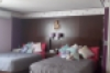 7846282869.jpeg