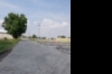 80534056.jpeg