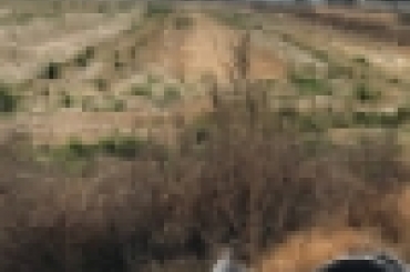 805499507.jpeg