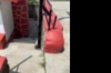 8156829243.jpg