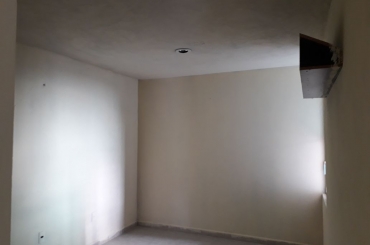 8161083701.jpeg