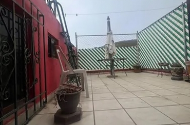 8230811916.jpg