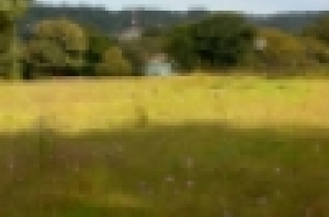 8291294928.jpg