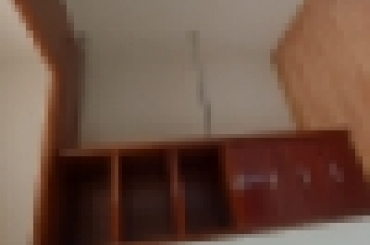 8330001365.jpg