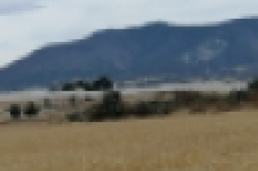 8452288010.jpg