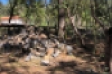 8524977853.jpg