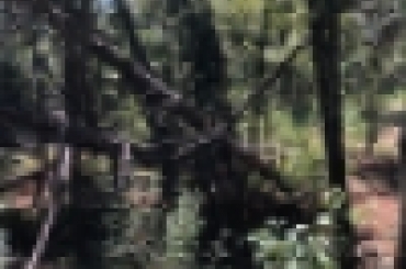 8562340466.jpg
