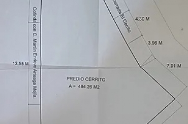 8875871882.jpg