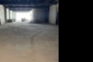 9113236735.jpeg