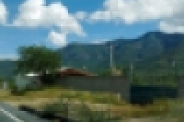 9131760038.jpeg