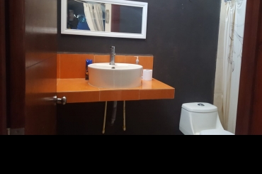 9176129484.jpeg