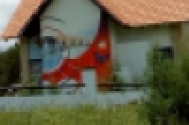 9200916355.jpeg