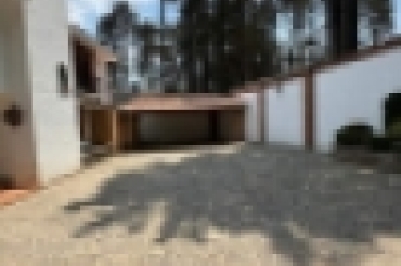 9219136377.jpg