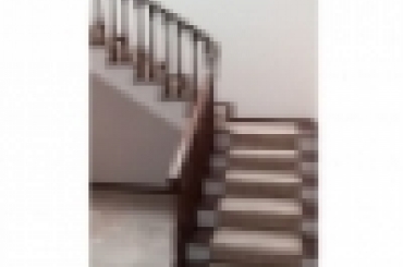 9242543117.jpeg