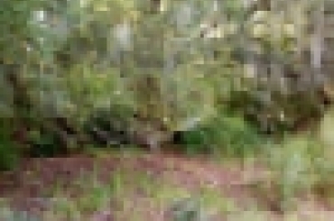 9425052599.jpg