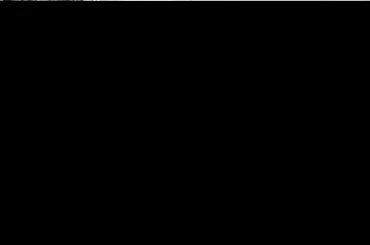 9455623305.jpeg